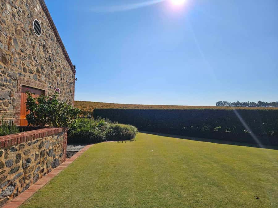 Barossa Valley Wine Tour - Why a Barossa Valley guided tour makes sense for your day
