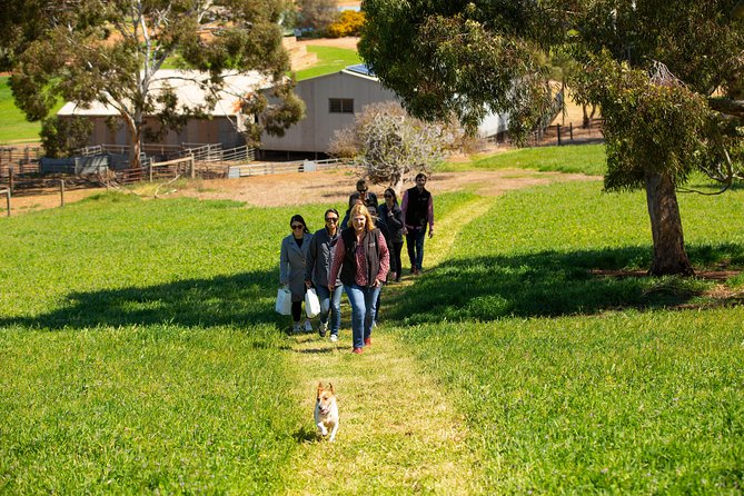 Barossa Wine Tasting shared tours - The Flexible Finish: Brewery or Chocolate as a Last Stop