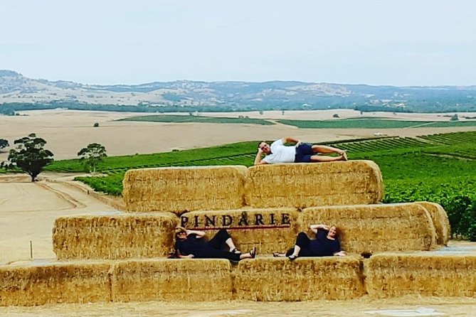 Barossa Wine Tasting shared tours - Who Should Book This Tour (and Who Might Skip It)