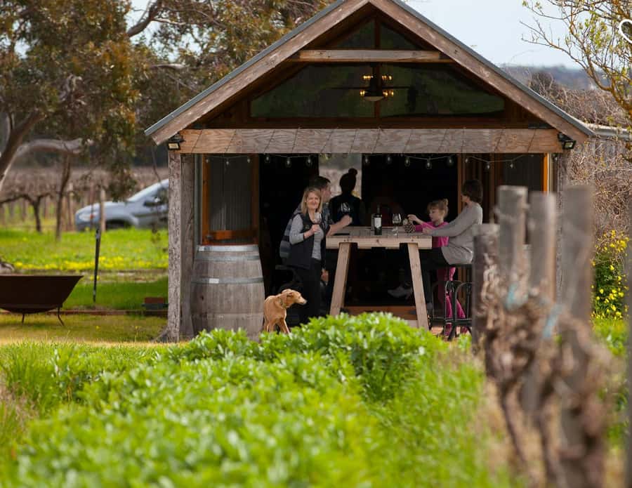 Barossa Wine Tour: Small Group 8 max, Rare, Unique, Premium - Door-to-door pickup makes the Barossa feel close