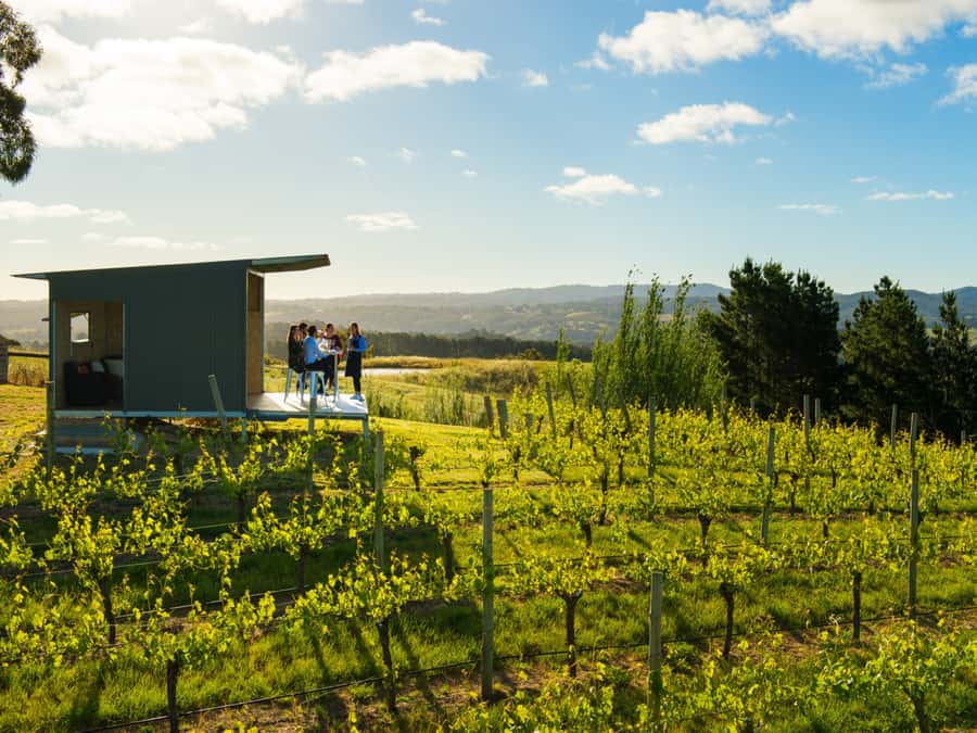 Barossa Wine Tour: Small Group 8 max, Rare, Unique, Premium - Winemaker-led tastings: why this is more than a normal pour