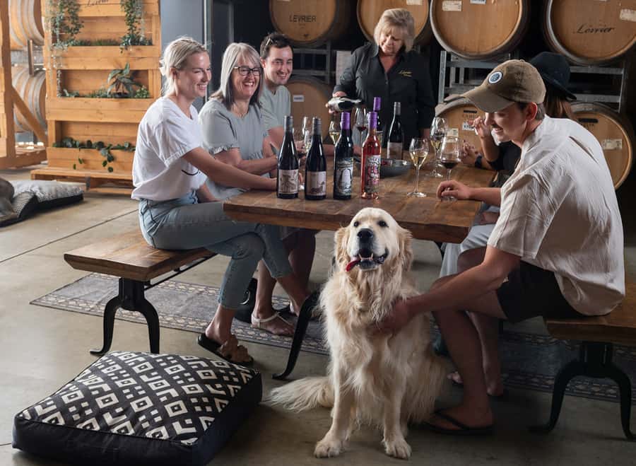 Barossa Wine Tour: Small Group 8 max, Rare, Unique, Premium - Guides Wes, JR, and Kate: local hosting that shapes the day
