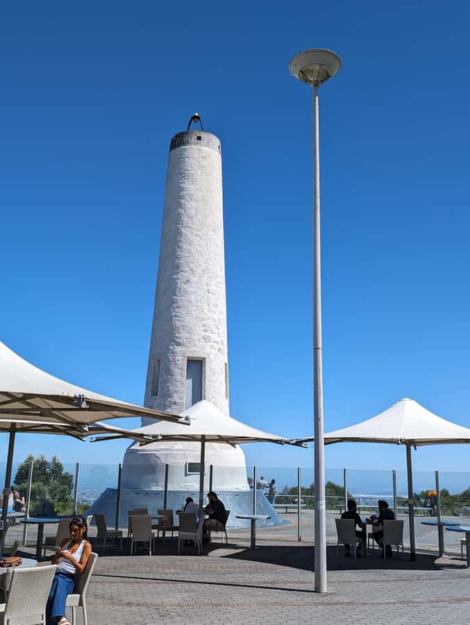 Best of Adelaide- City Highlights (Half-Day Tour) - How This Half-Day Tour Works Without Getting Too Tiring
