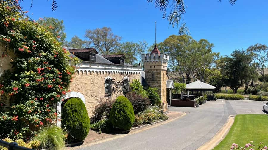 Best of Adelaide- City Highlights (Half-Day Tour) - Plane Tree Drive: A Nature Pocket in the Middle of the City