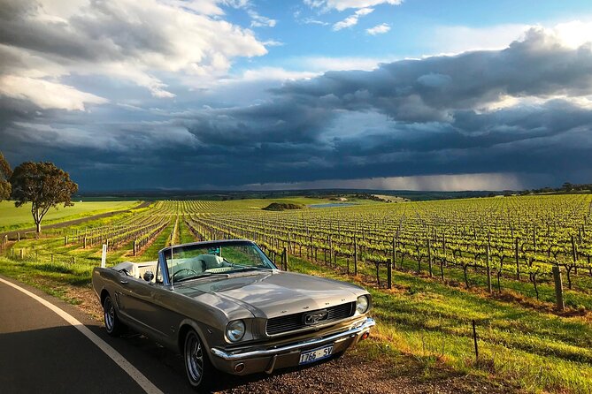 Classic Mustang Convertible Barossa Valley Half Day Private Tour For 2 - The guides matter: Adele, Darko, and Wendy bring more than check-the-box facts