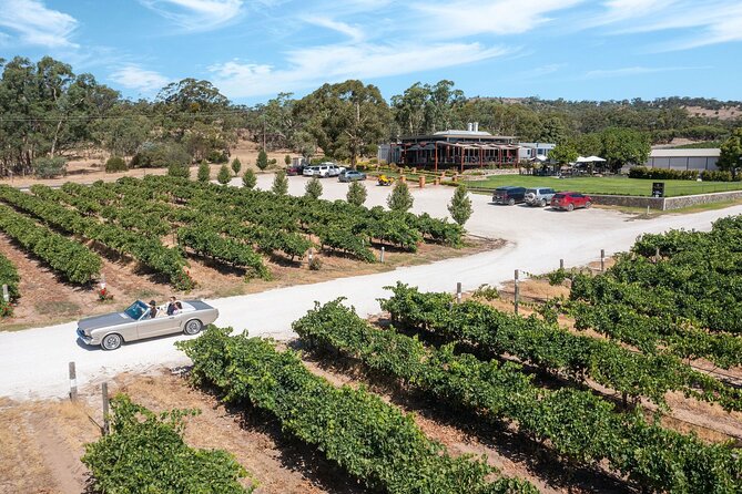 Classic Mustang Convertible Barossa Valley Half Day Private Tour For 2 - Price and value: does $222 for 2 make sense?