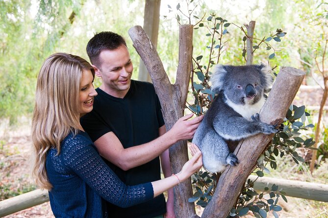 Cleland Wildlife Park Experience - from Adelaide including Mt Lofty Summit - Quick take on Cleland and Mt Lofty