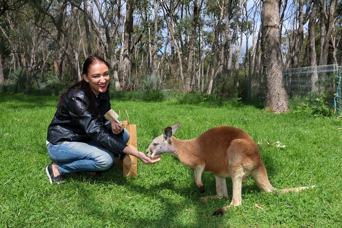 Cleland Wildlife Park Experience - from Adelaide including Mt Lofty Summit - Price and value: what you’re paying for (and what you aren’t)