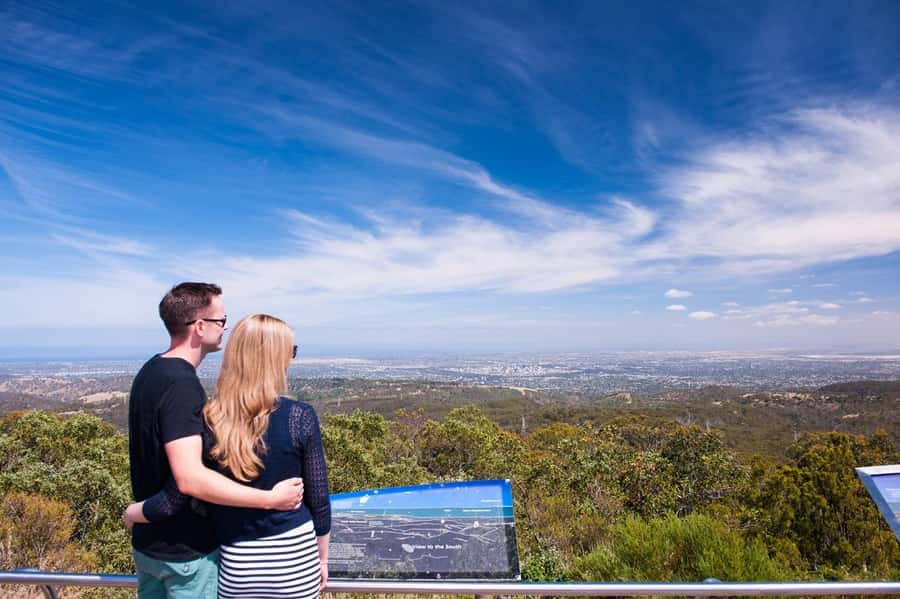 Cleland Wildlife Park Experience with Mount Lofty Summit - Koala hold option: good to know, but not guaranteed
