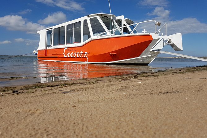 Coorong Highlights Cruise - Goolwa to the Coorong: a small-boat way to watch wildlife