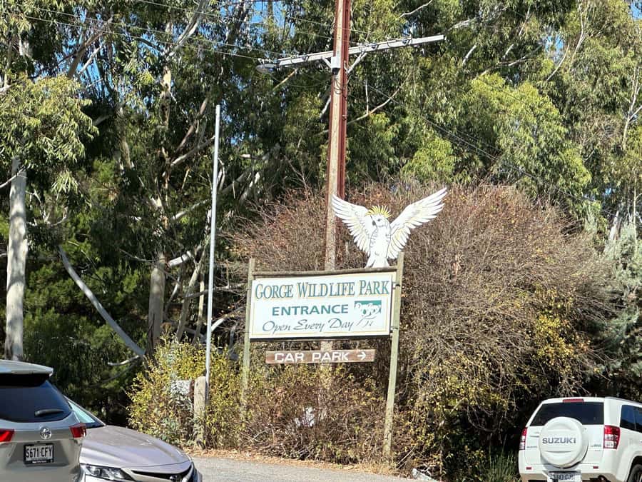 Cuddle a Koala and Historic Hahndorf Tour - Price and value: $244 for an 8-hour loop with real extras