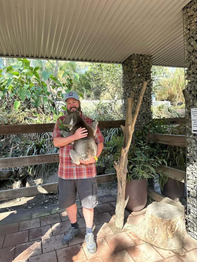 Cuddle a Koala and Historic Hahndorf Tour - From Adelaide to the Hills villages: why the drive matters