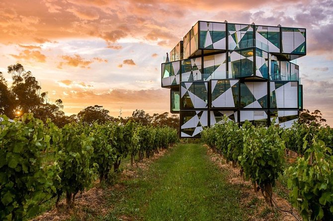 d'Arenberg Cube / McLaren Vale Regional Tour - Key points to know before you go