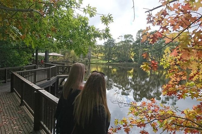 d'Arenberg Cube / McLaren Vale Regional Tour - Oliver’s Taranga Cellar Door: A Friendly, Easygoing Hour to Reset