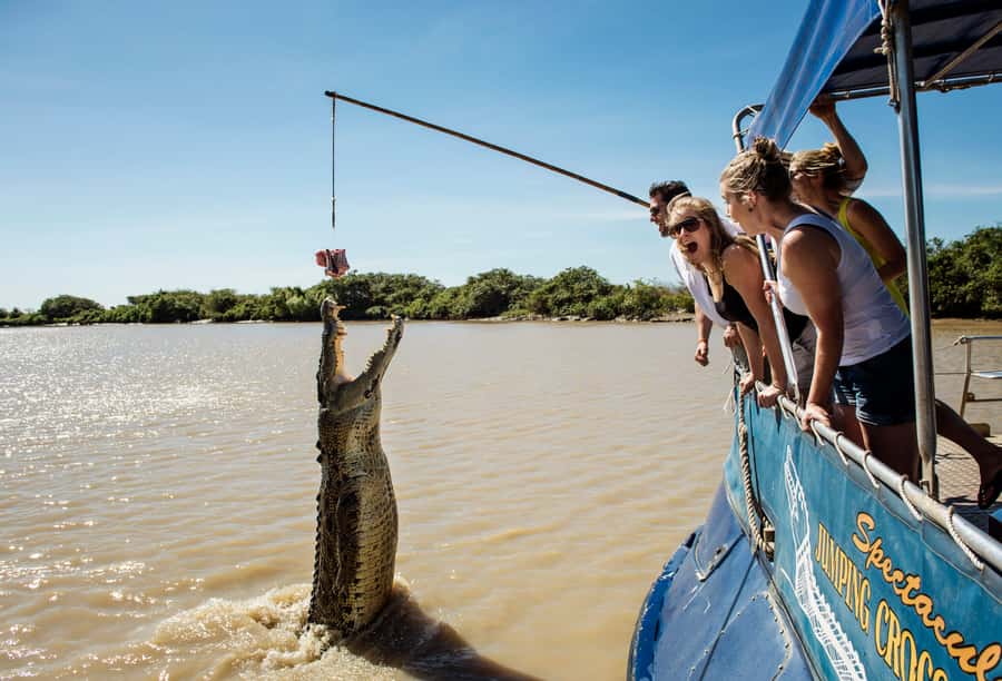 Darwin: Jumping Crocodile Cruise - Key things to know before you go