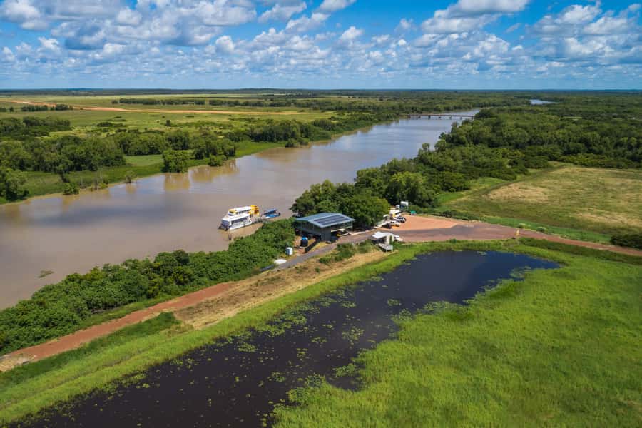 Darwin: Jumping Crocodile Cruise - The cruise hour: wetlands, birds, and close-up croc behavior