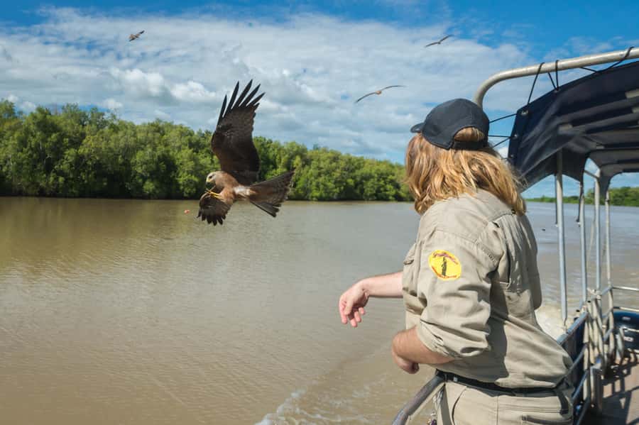 Darwin: Jumping Crocodile Cruise - Guides make or break the experience: Rex, Becs, and Tim