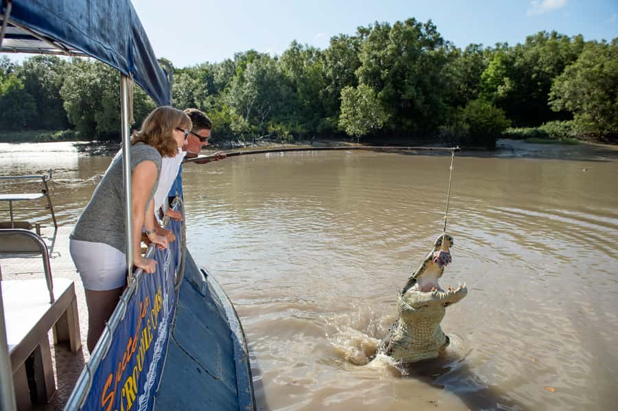 Darwin: Jumping Crocodile Cruise - Rain, fog, and the real-life odds of seeing crocs