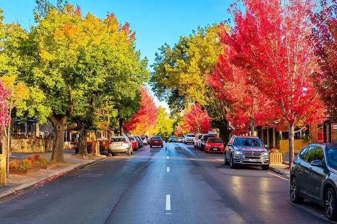 Discover Charms of Hahndorf & Hills (Full Day Tour) - Entering the day: Adelaide pickup and a practical start