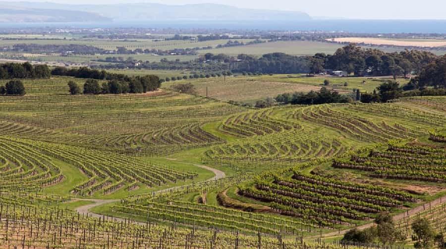 Discover Hahndorf & Taste McLaren Vale - Hahndorf: the German village stop that’s more than a quick photo