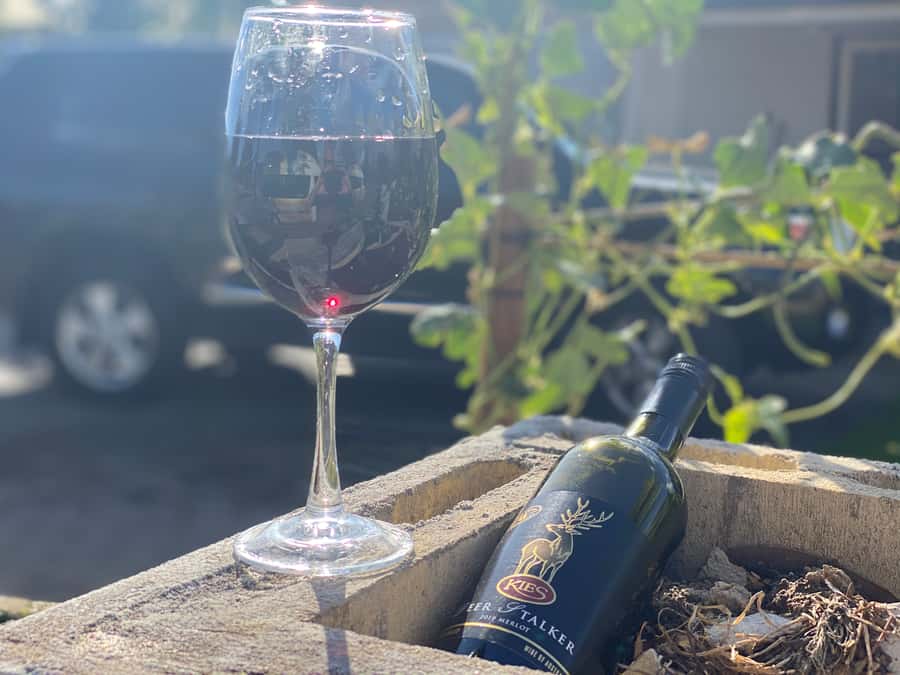 Discover Hahndorf & Taste McLaren Vale - Oliver’s Taranga Vineyards: a relaxed cellar door start to your tastings