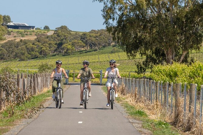 Discover McLaren Vale on eBikes - Full Day - Key highlights at a glance