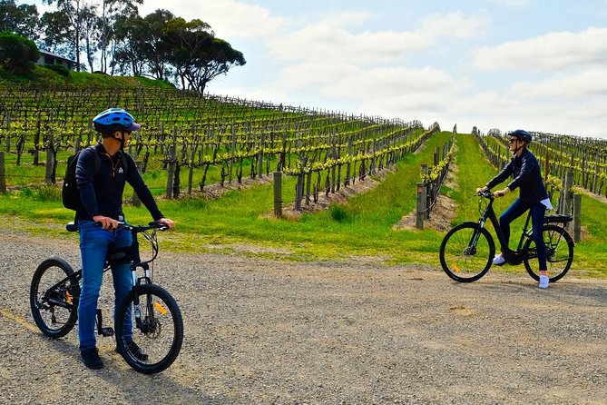 Discover McLaren Vale on eBikes - Full Day - McLaren Vale and Willunga Hills by e-bike: what the day feels like