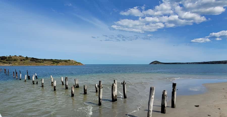 Discover Victor Harbor Guided Walking Tour - Encounter Walkway: Early Settlement, Whaling, and the Port That Drove Everything