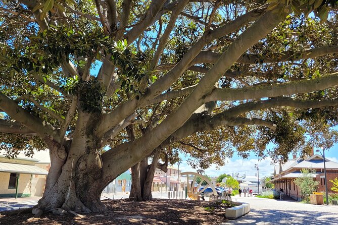 Discover Victor Harbor Walking Tour - Stop 2: Newland Memorial Uniting Church and the early-settler legacy