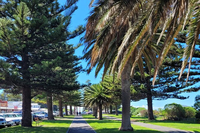 Discover Victor Harbor Walking Tour - Meeting at the horse-drawn tramway: warm-up with local character