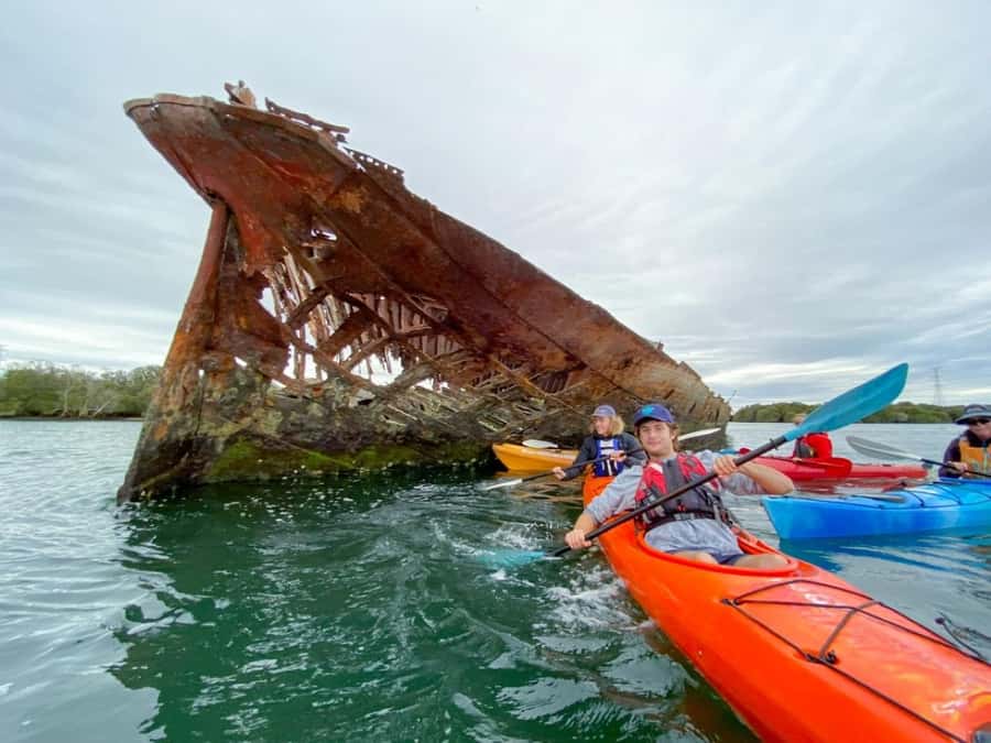 Dolphin Sanctuary and Ships Graveyard Kayak Tour - Key Highlights You’ll Actually Care About