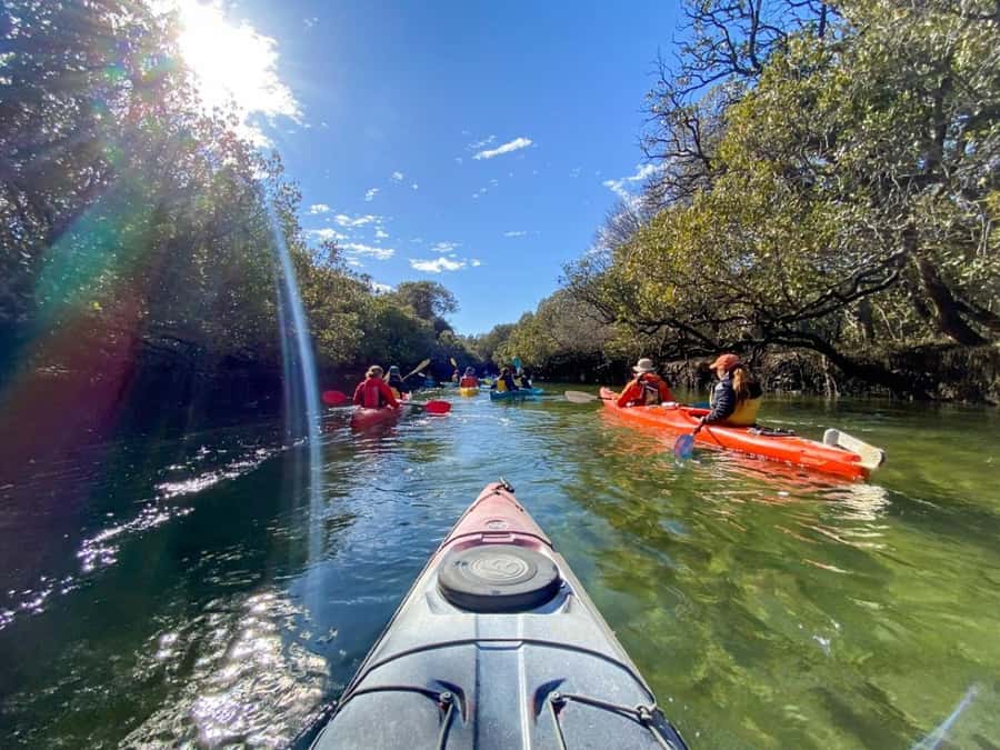 Dolphin Sanctuary and Ships Graveyard Kayak Tour - Who This Is Really For (Age, Fitness, and Kayak Fit)