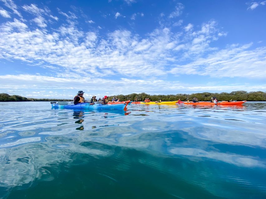 Dolphin Sanctuary and Ships Graveyard Kayak Tour - Gear and Clothing: Avoid the Wet-Shoe Regret