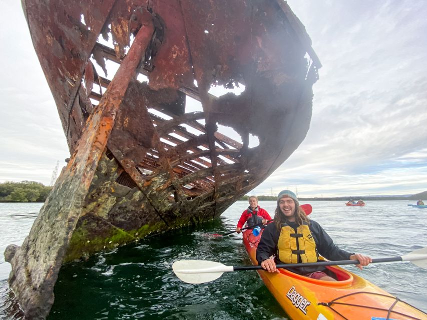 Dolphin Sanctuary and Ships Graveyard Kayak Tour - Group Size, Listening to Stories, and Photo Time