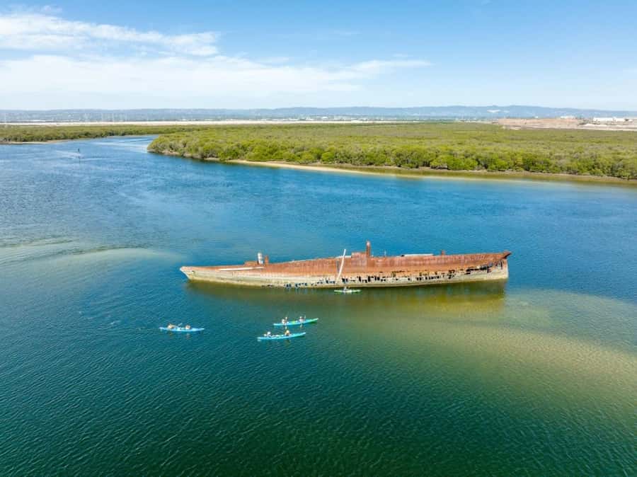 Dolphin Sanctuary and Ships Graveyard Kayak Tour - Meeting at Garden Island Boat Ramp (Gillman): How to Show Up Easy