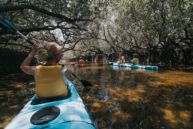 Dolphin Sanctuary Kayak Tour Adelaide - Starting at Angas Inlet Boat Club: where your kayak day begins