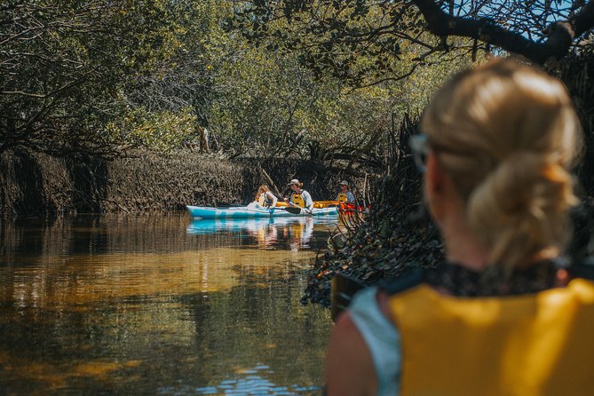 Dolphin Sanctuary Kayak Tour Adelaide - Dolphins are wild: how to set expectations without killing the magic