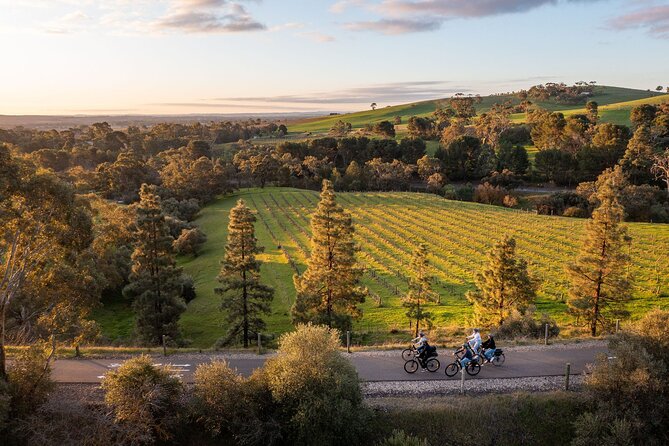 Experience Barossa Valley by E-bike - Price and Value: Does $240.28 Make Sense?
