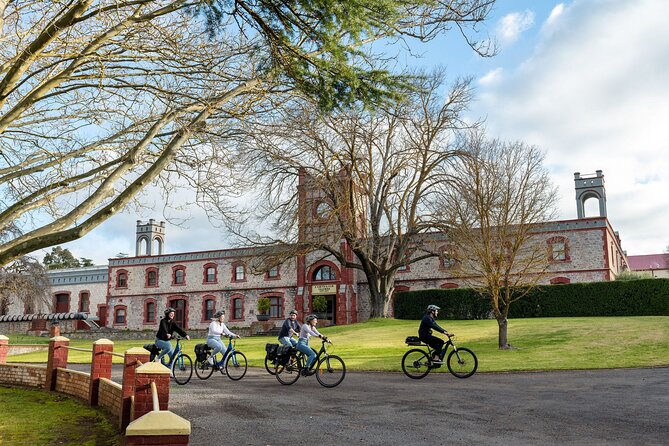 Experience Barossa Valley by E-bike - Who This Tour Suits Best (And Who Should Consider Another Plan)
