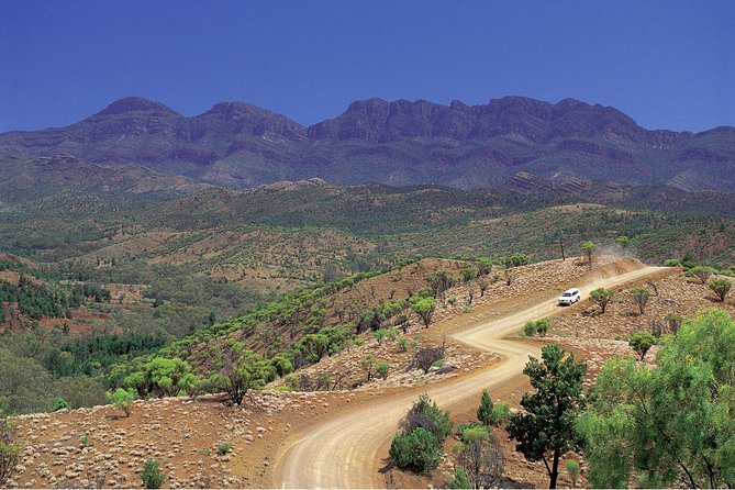 Flinders Ranges 3-Day Small Group 4WD Eco Tour from Adelaide - Fossils, Geology, and Aboriginal Stories: How the Tour Makes the Ranges Make Sense