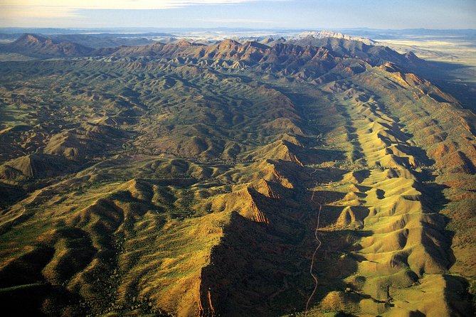 Flinders Ranges 3-Day Small Group 4WD Eco Tour from Adelaide - Wildlife Spotting: When “Look Up” Actually Means Something