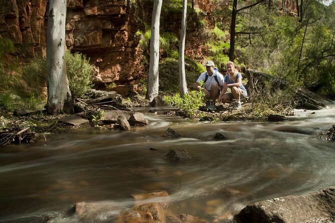 Flinders Ranges 5-Day Small Group 4WD Eco Tour from Adelaide - Day 5 Wangara Lookout: early sounds of the bush, then a long return
