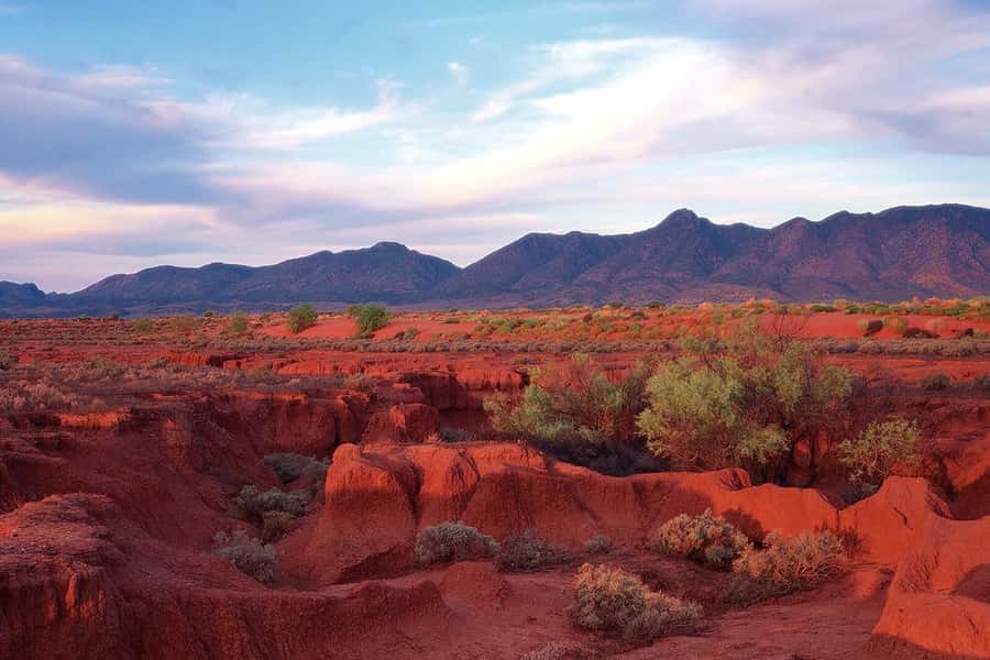 Flinders Ranges & Outback: 3-Day 4WD Tour from Adelaide - Should you book the Flinders Ranges & Outback 3-Day 4WD Tour?