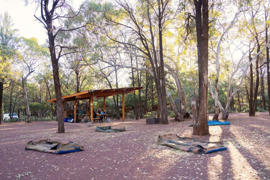 From Adelaide: 7-Day Adventure Tour to Uluru - Past Moon Plains to Kings Creek Station: desert sunsets without the rush