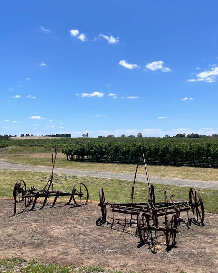 From Adelaide: Barossa to Hahndorf Wine Tasting and Lunch - Price and value: what you get for around $114 a person
