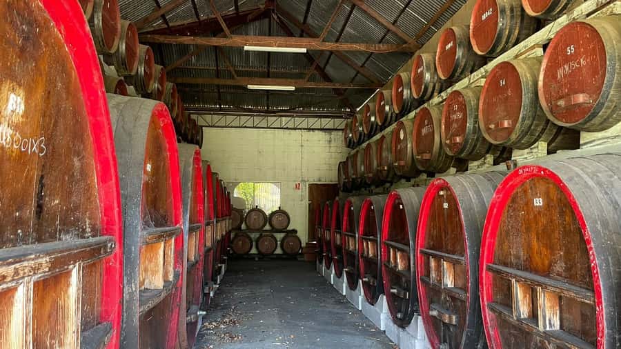 From Adelaide: Barossa to Hahndorf Wine Tasting and Lunch - Should you book the Barossa to Hahndorf day trip?