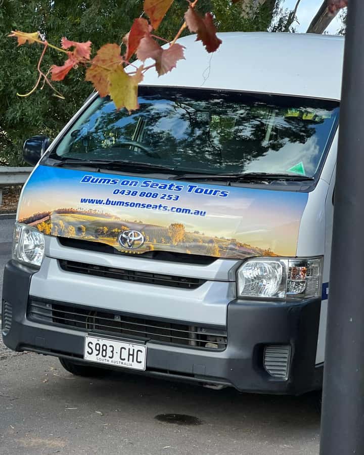From Adelaide: Barossa Valley Food and Wine Tour - Pickup, Timing, and the Reality of Coach Comfort