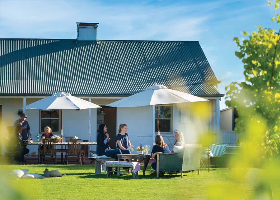 From Adelaide or Barossa: Boutique Barossa Valley Wine Tour - Morning tastings: from familiar Barossa names to newer styles