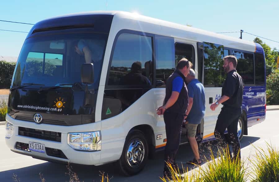 From Adelaide: Victor Harbor & Southern Highlights Day Tour - McLaren Vale on the way back: scenery for Shiraz country lovers