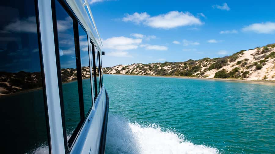 From Goolwa: Half-Day Coorong Experience - Why This Half-Day Coorong Trip Works So Well From Goolwa